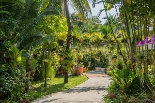 Matcha Samui Resort photo 6