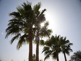 Coral Beach Resort Hurghada