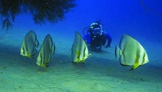 Sports and Entertainment
 di Baron Beach Resort