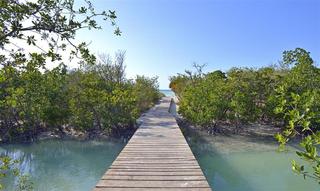 Beach thumbnail 8