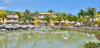 General view thumbnail 21