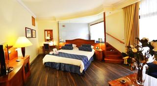 Room Room