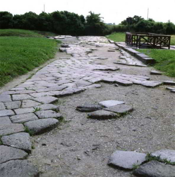 General view
 di Ambra