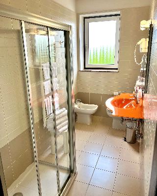 suite standard