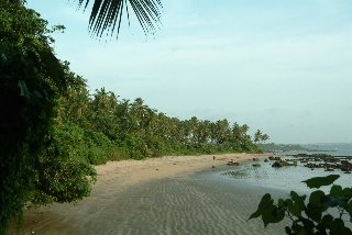Beach
 di Bambolim Beach Resort