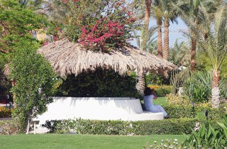 General view
 di Jaz Makadina