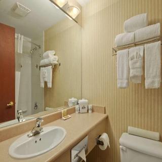 Room Room