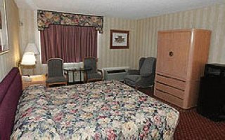 Room
 di Quality Hotel Bayside Resort