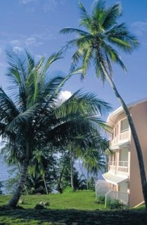 General view
 di Blue Haven