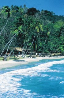 Beach
 di Blue Haven