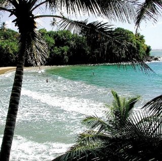 Beach
 di Half Moon Blue