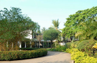 General view
 di Palm Village