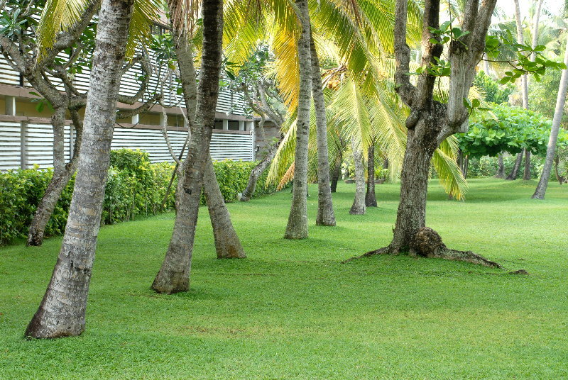 General view
 di Palm Village