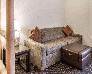 1 King Bed, Suite, Nonsmoking, Accessible