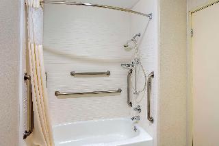 1 King Bed, Suite, Nonsmoking, Accessible