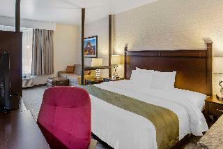 1 King Bed, Suite, Nonsmoking