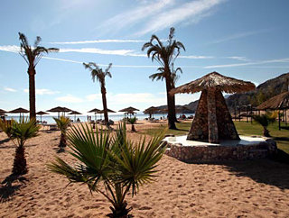 Beach
 di Sol y Mar Sea Star