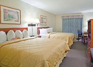 Room
 di Comfort Inn & Suites Calgary South