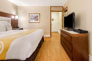 Room:SUI.NM