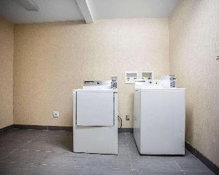 整體概覽