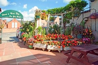 Terrace
 di Cumbria Park Hotel