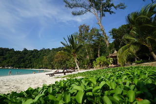 Beach
 di Perhentian Island Resort, Terengganu
