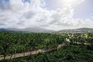 General view
 di Wyndham Grand Rio Mar Beach Resort & Spa
