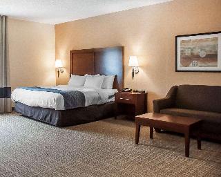 1 King Bed, Suite, Nonsmoking