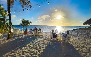 Restaurant
 di Divi Aruba Phoenix Beach Resort