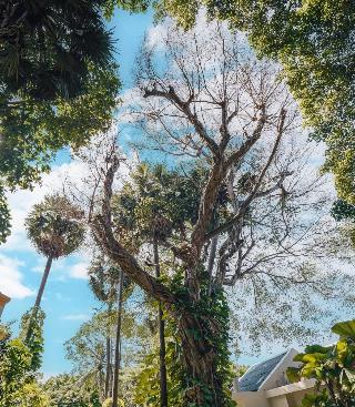General view thumbnail 20