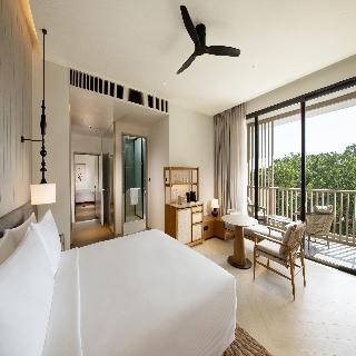 Room Room