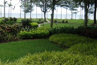 Miri Marriott Resort & Spa