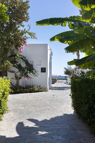 Aulus Lindos Rhodes, Curio Collection by Hilton