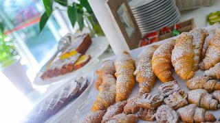Falco, Rimini
