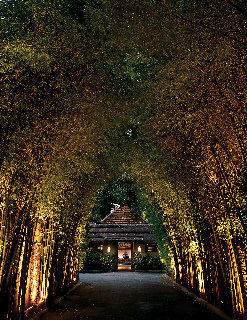 General view
 di Tamarind Village Chiang Mai