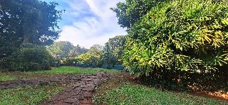 Terrace
 di Raices Esturion