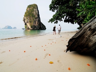 General view thumbnail 29