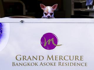 Lobby
 di Grand Mercure Bangkok Asoke Residence