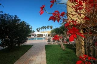 General view
 di Atlantic Garden