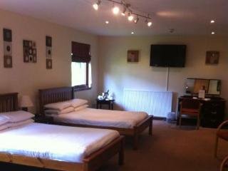 Room
 di King Robert Hotel