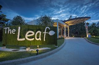 The Leaf on the Sands