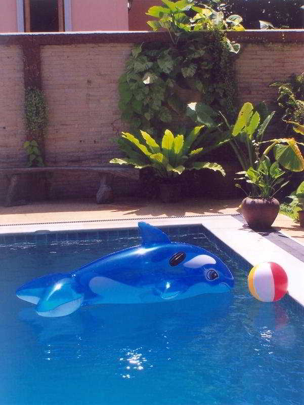 Pool thumbnail 5