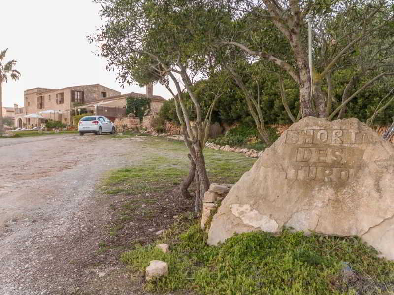 General view
 di S´hort des Turo