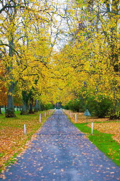 General view
 di Ballathie Sportsmans Lodge
