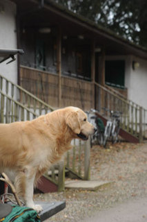 Terrace
 di Ballathie Sportsmans Lodge