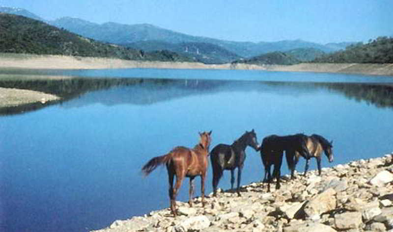 General view
 di Villa Selene