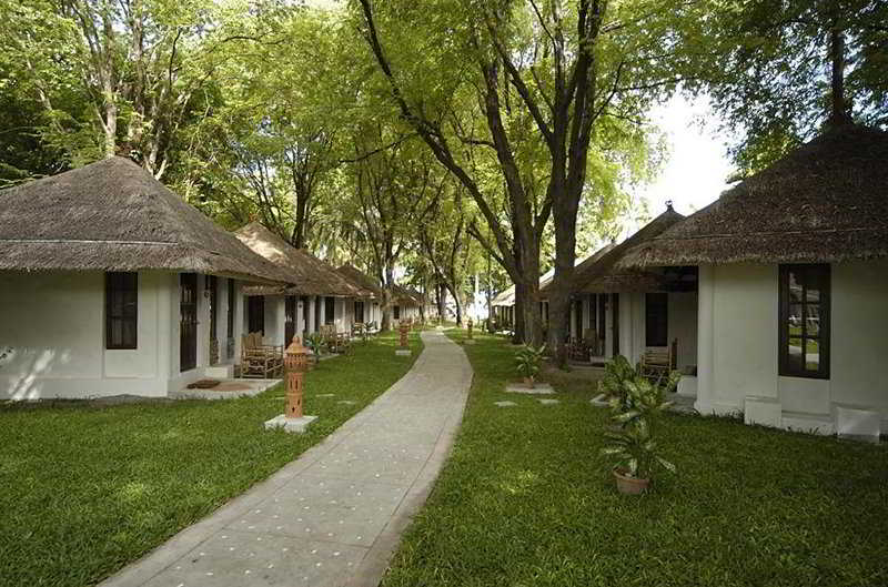 General view