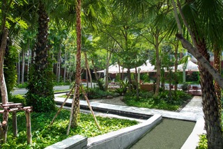 Terrace thumbnail 6