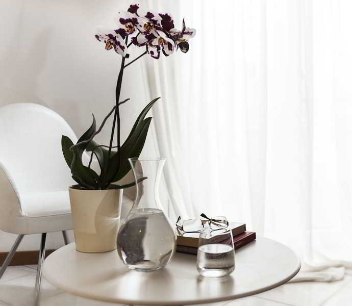 General view
 di Capinera