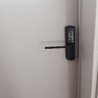 Room Room